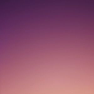 Meet your Posher, Talia